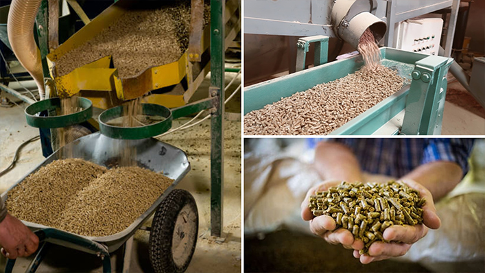 Feed Processing & Nutrition Management